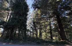 925 Monopoly Lane, Crescent City, CA 95531