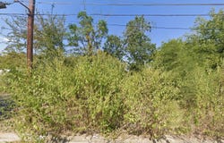 703 E Jones Street, Luling, TX 78648