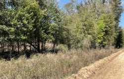 Speights Way, Bascom, FL 32423