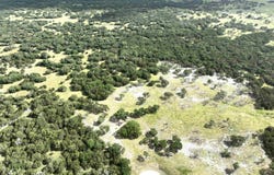 Tbd Starfall Drive, Lampasas, TX 76550