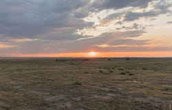 48020 County Road 41, Nunn, CO 80648