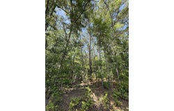 Moffett Road, Hollywood, SC 29449