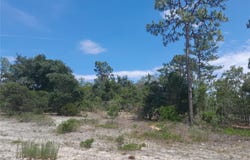 2211 SE STATE ROAD 121, MORRISTON, FL 32668