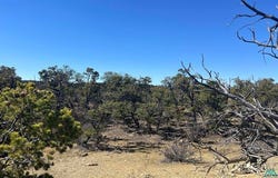 30 L-Bar Rd, Pie Town, NM 87827