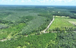 X Baron/Harcus Rd, Bonifay, FL 32425