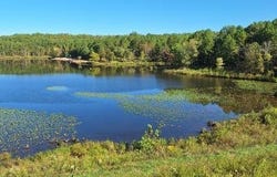 3 Highway E, Lowndes, MO 63951