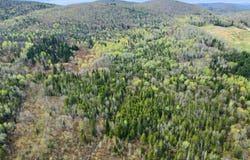 500 Violette Settlement Road, Fort Kent, ME 04743