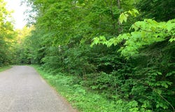 Lot 24 DEER TRAIL RD, Presque Isle, WI 54557