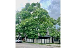 1325 Birch St, Fort Collins, CO 80521