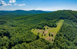 7869 LAUREL RD, Shipman, VA 22971