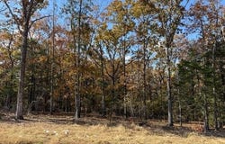 42 Summer Sky Drive, Greenbrier, AR 72058