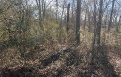 0 S Ehrich Avenue, Bridgeport, AL 35740