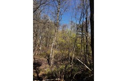Lot 5881 Tumbleweed Drive, Long Pond, PA 18334
