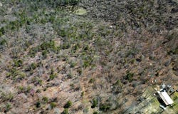 Lot 1 Deer Meadows Lane, Yellville, AR 72687