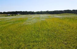 Tract A State Highway 84 SW, Pine River, MN 56474