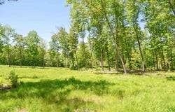 00 Mulligan Row, Westmoreland, NH 03467