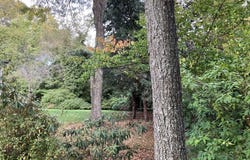 Glenoe Rd, Brookline, MA 02467