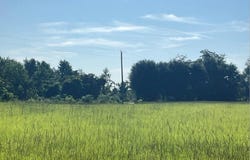 Alpine Tr, Willacoochee, GA 31650
