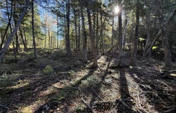 2 East Shore Road, Glenwood, ME 04497
