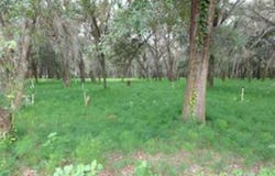 610 BURNSED ROAD, PIERSON, FL 32180
