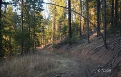 401 Vitzthum  Gulch Rd, Douglas City, CA 96024