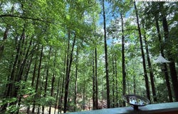 154 Breezy Lane, Deep Gap, NC 28618