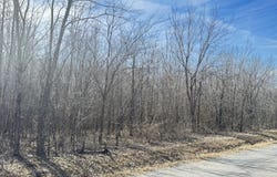 0 Keeling Road, Stanton, TN 38069