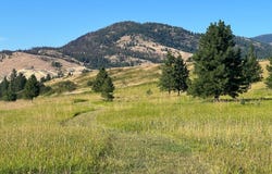 2069 B JOHNSON RD, RICE, WA 99167