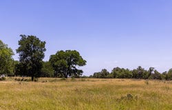 190 Jones Rd, Kerrville, TX 78028