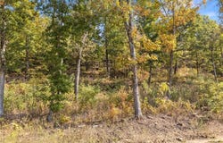 Lot 8 Peaceful  PL, Harrison, AR 72601