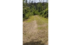 31187 Pace Ln, Walker, LA 70785