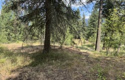 NHN Cornerstone Road, Thompson Falls, MT 59873