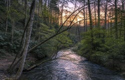 58 River Road, Cherry Log, GA 30522