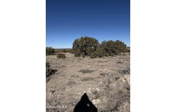 TBD 203-67-011, St. Johns, AZ 85936