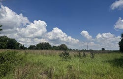 TBD CR 3925, Mt Pleasant, TX 75455