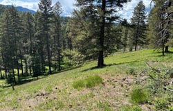 NHN Sterling Drive, Thompson Falls, MT 59873