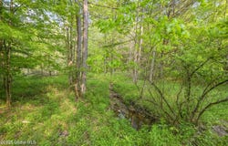 L22.22 Mud Road, Laurens, NY 13796
