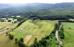5239 Grapefield Rd, Bastian, VA 24314