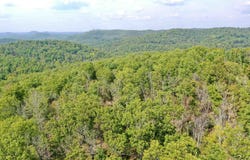 7847 S AR 9 Hwy, Melbourne, AR 72556