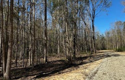 437 PRIVATE ROAD 8507, Van, TX 75790