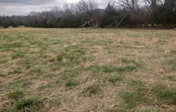 Tract 4 HWY 14 E, Mountain View, AR 72560