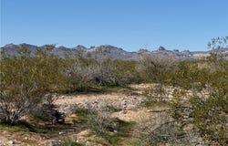 11074 Laguna Trail, Golden Valley, AZ 86413