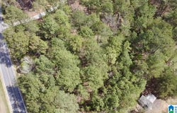 11490 HIGHWAY 55 lot: 1Ab, WESTOVER, AL 35147