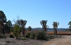 3100 Marsh Grove Lane, Southport, NC 28461