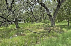 104 Black Hawk, Horseshoe Bay, TX 78657