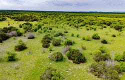 150 Mountain Drive, Graford, TX 76449