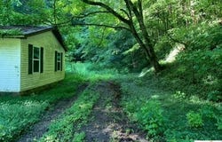 9526 Turkey Neck Bend Road, Tompkinsville, KY 42167