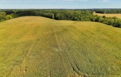 N Bray Road, Clio, MI 48420