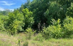 53 B Pilgrim Rest Road, Greenbrier, AR 72058