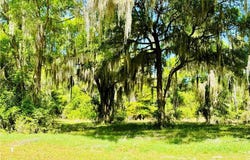 Lot 48 Coopers Point Drive, Townsend, GA 31331
